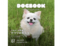 アッカ・コミュニケーションズ合同会社のプレスリリース画像