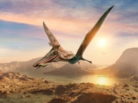 ジュラ紀最大の翼竜（空飛ぶ爬虫類）の化石が発見される