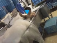 写真はTwitterより引用（一部加工しています）