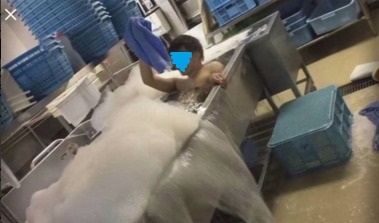 写真はTwitterより引用（一部加工しています）