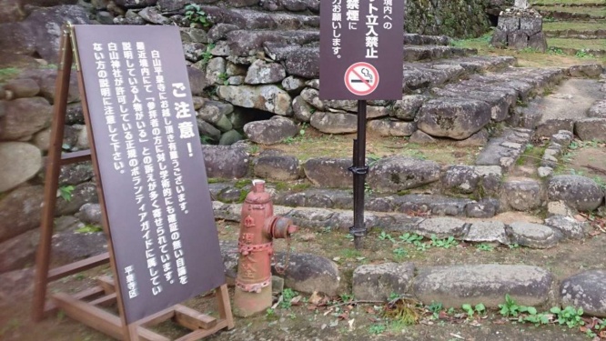 写真は大久保さん提供