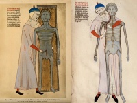 解剖学を説明するのに初めて絵を使った中世のイタリア人医師（日本の室町時代頃）
