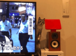 【配線いじったけど、映ってる？】人気の傑作ボケて１５選（9/4）朝版