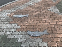 なんでこんな所に？（以下、写真は釧路市道路河川課提供）