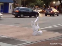レジ袋が究極進化！？自らの意志を持ってスタスタと歩道を歩いているようにしか見えない映像
