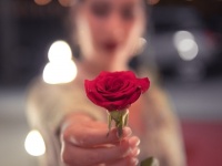 いま話題の「恋愛バラエティーショー」は婚活に役立つのか