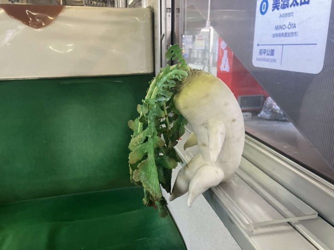 あめかり（@rainsnow517）さんの投稿より、再掲