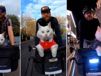自転車の前かごに乗って散歩をするのが大好きな猫、ロンドン名物キャットに