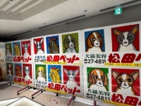 大盛況「例の看板展 in 銀座」3日間で500人を超えた　松田ペット看板の圧倒的魅力を全身で感じる【3／29～4／6】