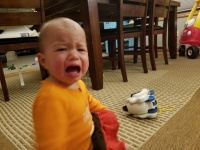 泣くのが仕事なのは知っていたけども...子どもたちが泣く理由があまりにも理不尽だった。