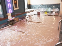 ハチミツまみれで美肌に！＆honeyコラボ風呂でハチミツ美容体験　11月限定のトレンドスポットに