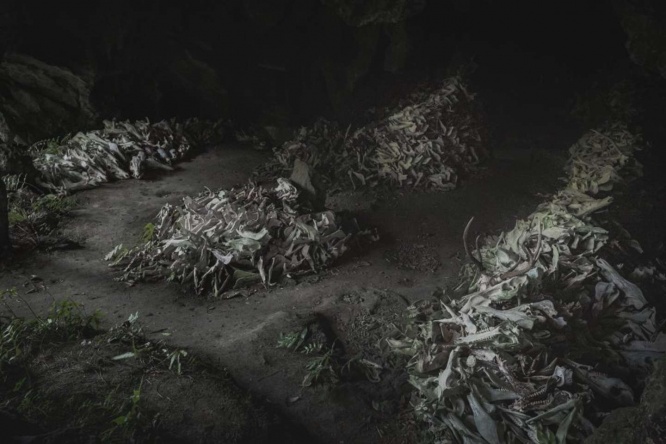 整然と並べられた獣骨たち