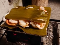 炭火でホタテを焼くときは、「昆布でサンド」が抜群にウマいらしい