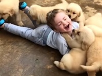 ああもう、いっしょになってまみれたい！子犬と子供、これ以上の最強タッグマッチがあるだろうか