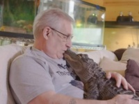 ウォリーを探せ！セラピーアニマルのワニが行方不明になり飼い主が必死に捜索