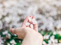 すぐに「感情的になる人」の特徴