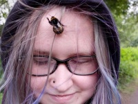 マルハナバチも恩を忘れない？少女に助けられ後、片時も離れなくなり、両者は深い絆で結ばれる