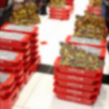 写真はイメージです