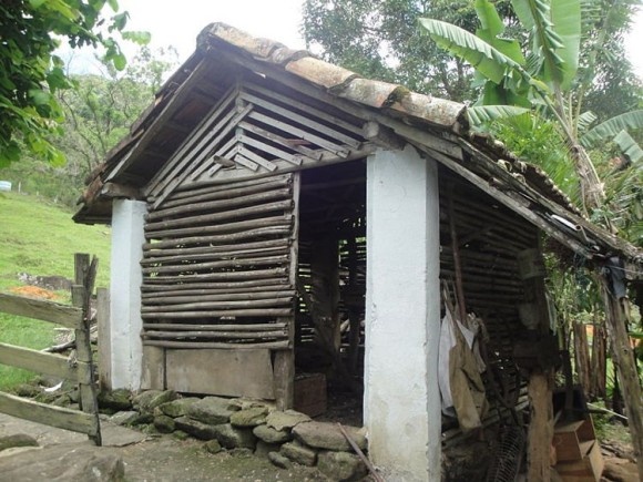 幼少期、鶏小屋でニワトリと一緒に育てられる。チキンガールと呼ばれた少女の悲劇とその真相（ポルトガル）