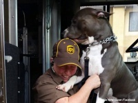 飼い主が亡くなり行き場を失った犬を救ったのは、犬と交流を持っていた配達員だった