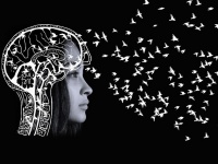 顔で賢さは判断できない。知性と顔立ちには関連性がないことが遺伝学研究で明らかに