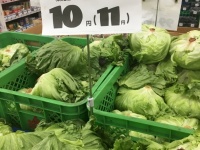 野菜売り場に積まれたレタス（9月26日撮影）