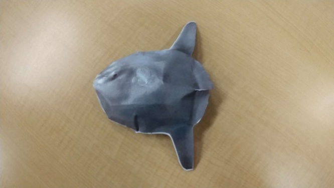 マンボウの完成（画像は編集部撮影）