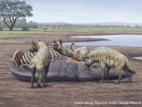140万年前の象の墓場で西ヨーロッパ最古のヒトの痕跡を示す証拠を発見