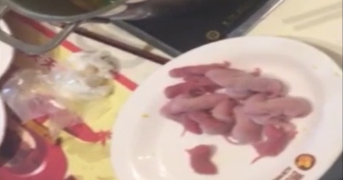 中国の食文化