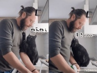 皿洗いより愛だろ？ヒゲメンが好きすぎる猫のラブアタックが止まらない