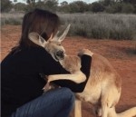 毎日人を抱きしめにくるカンガルーがキュート過ぎる！