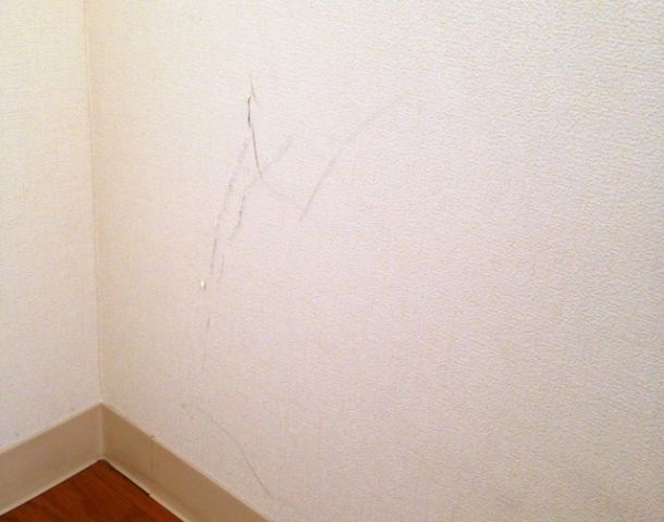 不動産アドバイザーに聞く。賃貸部屋の壁に穴をあけてもいい?