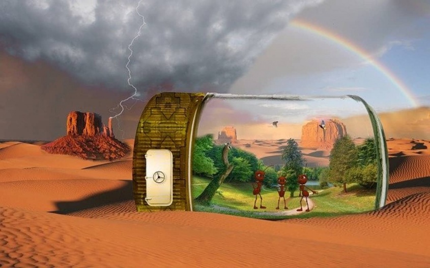 農薬の代わりにアリを使った害虫駆除が有効であることが判明