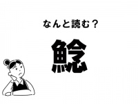 【難読】なんの魚？「鯰」の正しい読み方