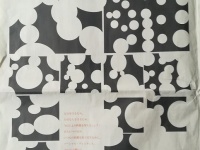 離れて見ると...（画像は岐阜新聞社提供）