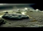 【神秘】まるで芸術作品。とある微生物を接写したスゴい！