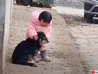 大丈夫!怖くないよ。犬の耳をふさぎ、花火の音から守ってあげる少女