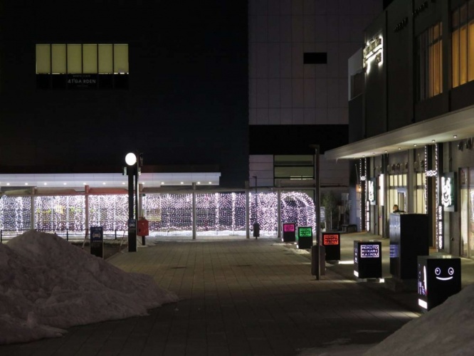 こっちを見ている...((c)2021一社)北斗市観光協会)