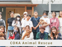 Eager Beaverのプレスリリース画像