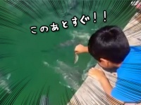 おったまゲーション！魚にエサをあげている少年のこの後すぐ！！