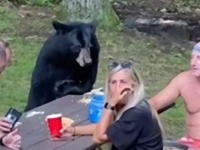 ある日、森の中、クマさんとピクニック。クマとピクニックを試みた猛者がアメリカで見つかっただと？