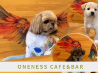 Eager Beaverのプレスリリース画像