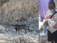 誰か助けて！犬が通行人に吠え続け、捨てられていた新生児の命を救う（フィリピン）