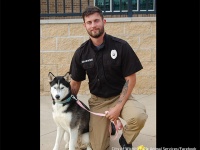 イケメンにイケハスキーの相乗効果がSNSで話題沸騰！保護犬の引き取り手が殺到する