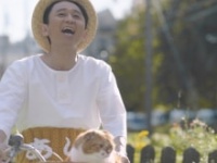 ⒞めちゃコミック