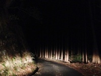 「真夜中の山道を歩いていたら、通りすがりのタクシー運転手が『出るよ』。家まで送ってくれたけど、翌日...」（都道府県不明・40代女性）