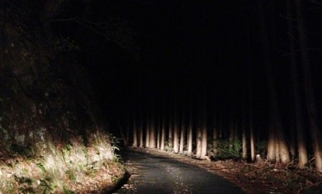 「真夜中の山道を歩いていたら、通りすがりのタクシー運転手が『出るよ』。家まで送ってくれたけど、翌日...」（都道府県不明・40代女性）