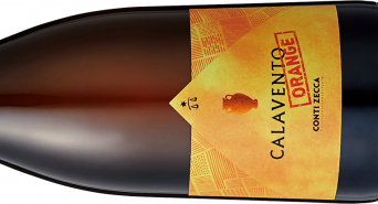 株式会社モトックスのプレスリリース画像