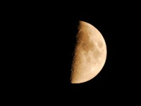 【愛と官能の月占い】今夜は上弦の月！　月の満ち欠けから占う11月19日から11月25日までのラブ運