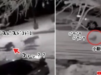 コントかな？雪の中の犬の散歩が大変な件